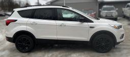 
										Ford Escape 2019 full									