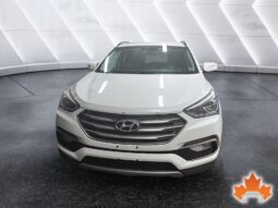 Hyundai Santa Fe 2017 full