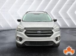 
Ford Escape 2019 full									