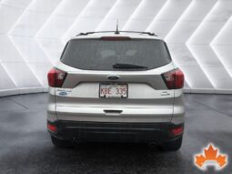
Ford Escape 2019 full									